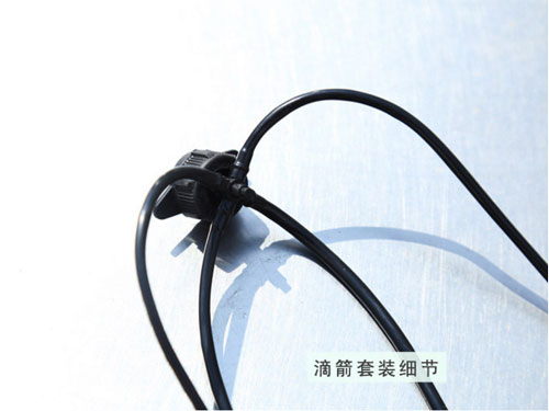 c鿴Ԕ(x)Ϣ(bio)}μb(x)(ji) xΔ(sh)2277
